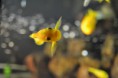 /album/fotogalerie/dsc-0480-jpg1/